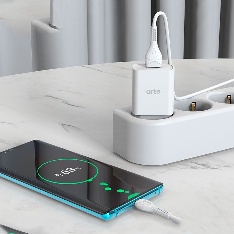 Caricabatteria da rete 2.1A usb A serie Trendy con cavo type-c